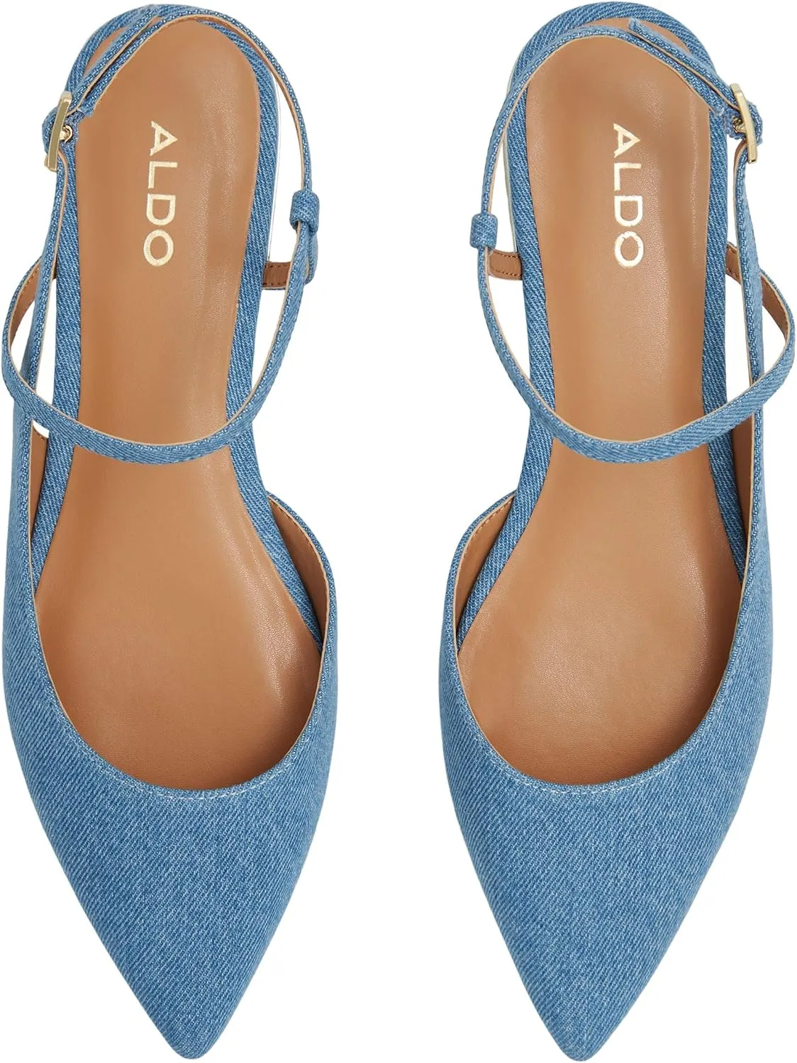 ALDO Women's Sarine Ballet Flat