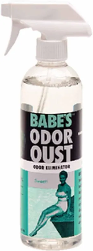 Babe’s Odor Oust – Marine Odor Eliminator Spray for Boats, Carpets & Upholstery – Neutralizes Smells, Repels Dirt & Leaves Fresh Scent - 1 Pint/Spray
