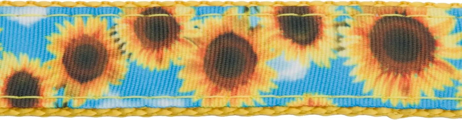 Country Brook Design - Sunflowers Ribbon on Gold Nylon Webbing (1 Inch, 10 Yards)