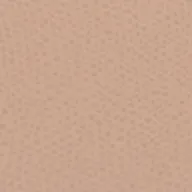 Dizzy Logo Mule Nude