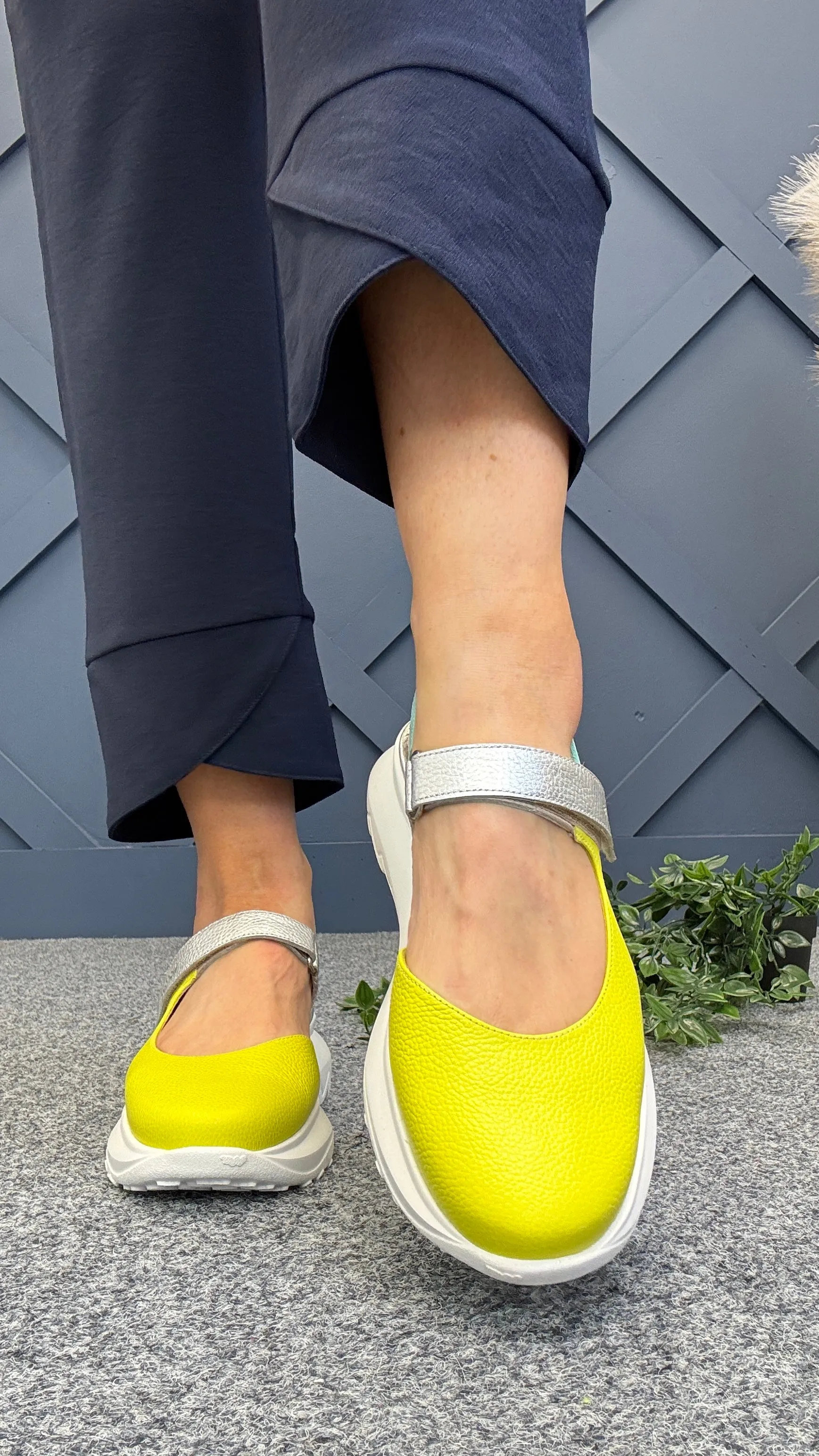 Eliana shoe