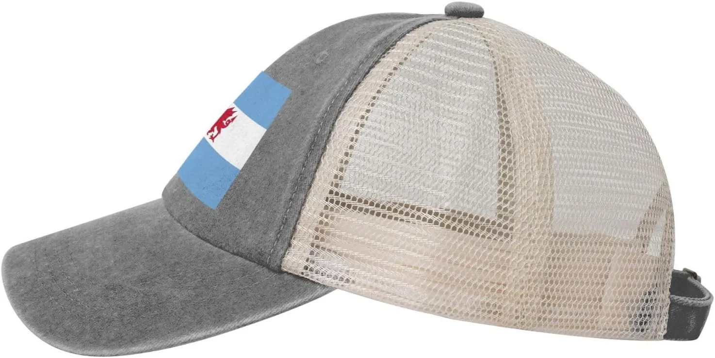 Flag of The Welsh Colony in Patagonia Baseball Cap Women Men Mesh Back Denim Hat Vintage Trucker Hats Dad Caps
