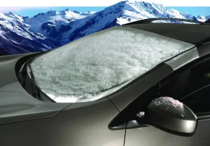 Intro-Tech Automotive TT-45-S Custom Fit Windshield Winter, Snow, Ice and Frost Shade for Select Toyota Land Cruiser 1981-1990 Models, Silver