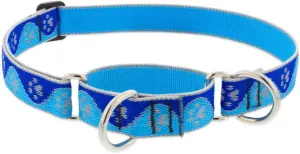 Lupine Reflective Martingale Dog Collar 1" Wide Blue Paws Adjusts from 15" to 22"