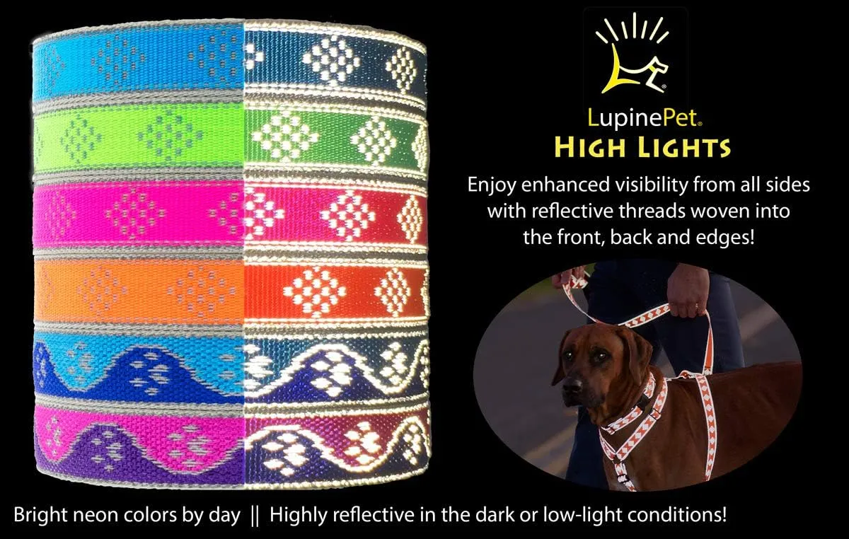 Lupine Reflective Martingale Dog Collar 1" Wide Blue Paws Adjusts from 15" to 22"