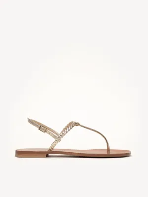 The Treccina (Sample Sale)