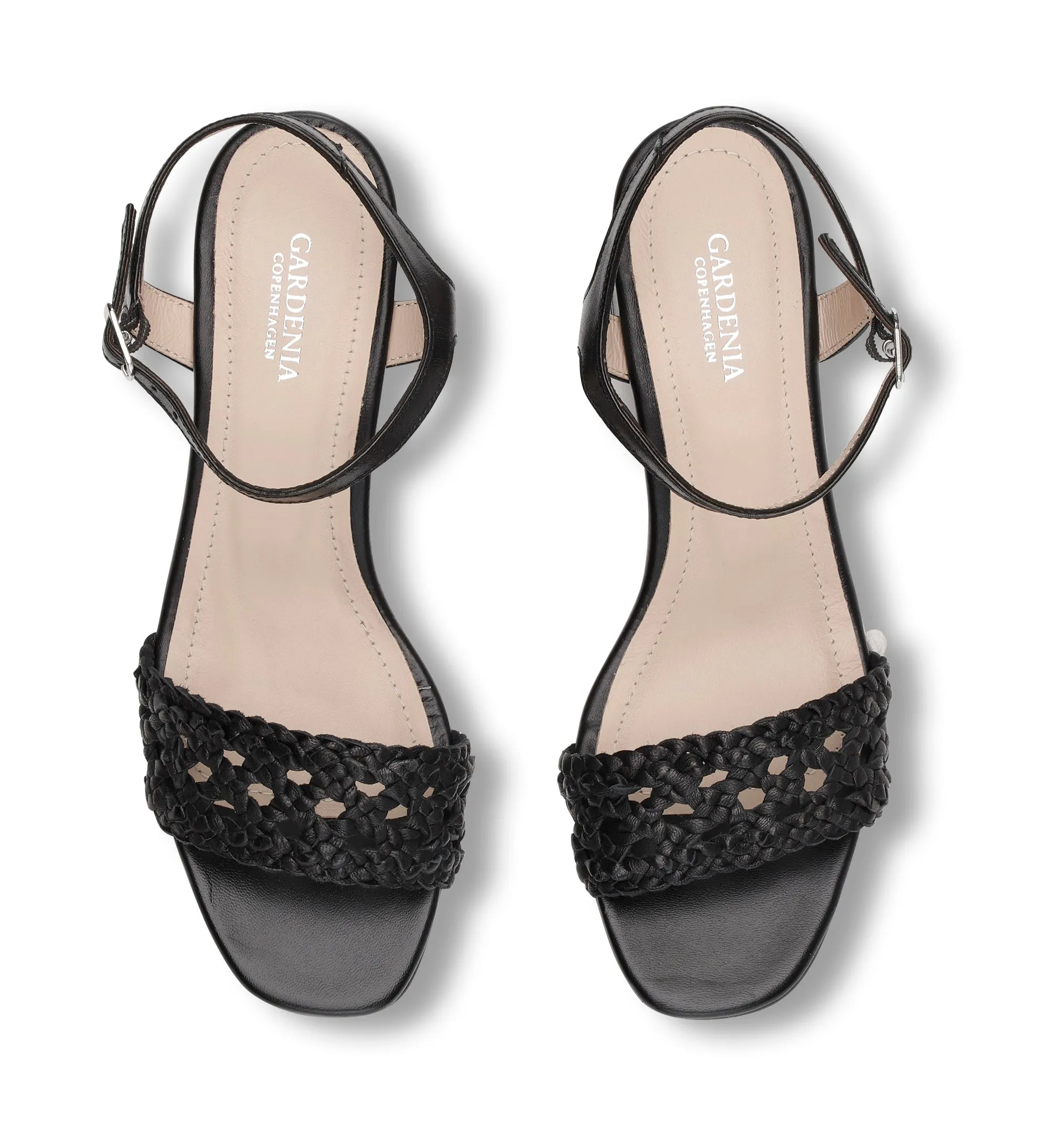 Vivirus - Black