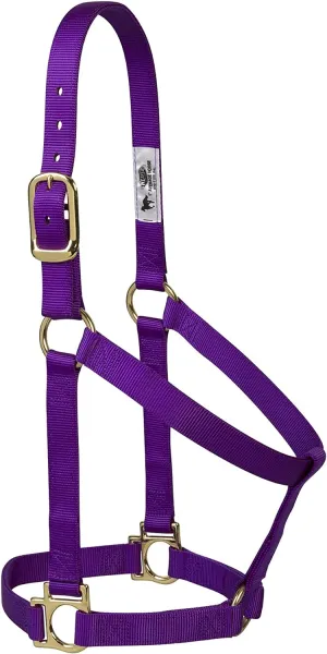 Weaver Equine Nylon Horse Halter, Comfort Double-Ply Webbing, Basic Non Adjustable Halters for Horses, Equine Tack,Average Size, Blue