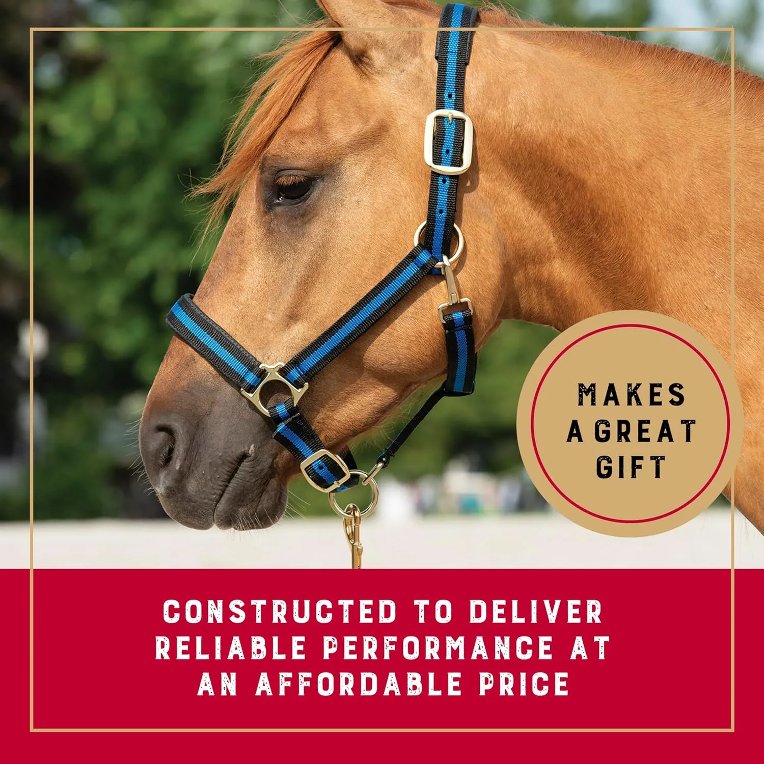 Weaver Leather Nylon Horse Halter, Padded and Adjustable, Chin and Throat Snap Hook Halters for Horses, Brass Plated Halters for Training